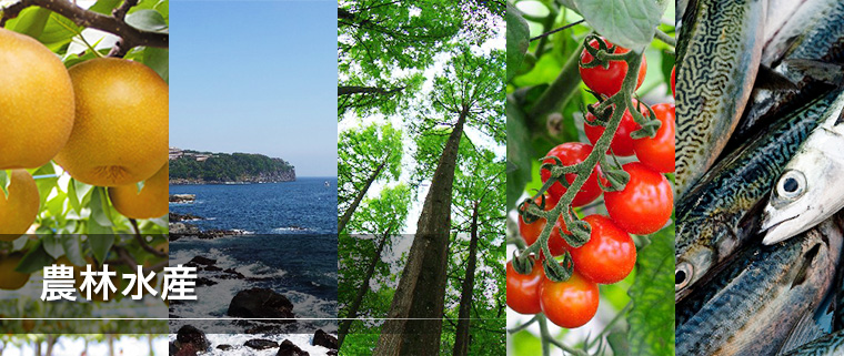 農林水産