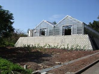 母島　中の平農業団地