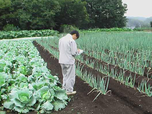 発生予察調査のようす