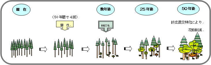 強度の枝打ち（イメージ図）