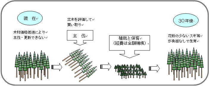 生産型森林における取組（イメージ図）