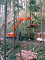 高性能林業機械（プロセッサ）を利用した林内作業
