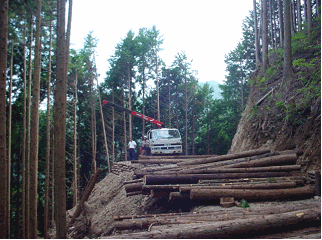 作業道開設による間伐の促進の普及