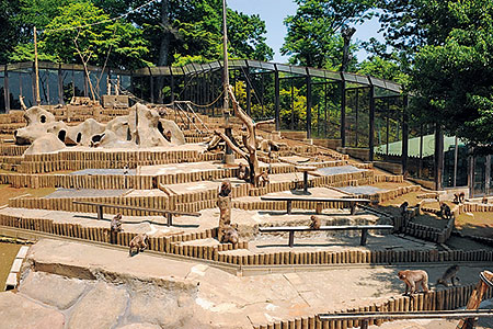 Monkey Park/Wild Plant Garden