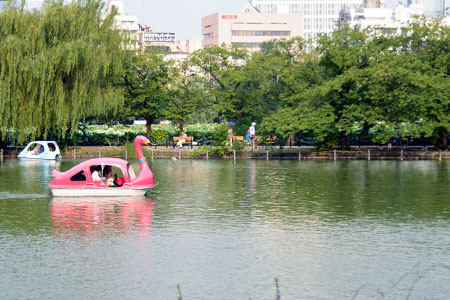 Shinobazu Pond