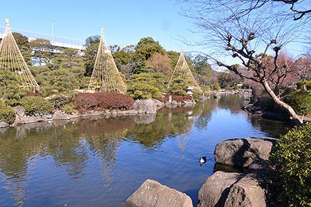 隅田公園 