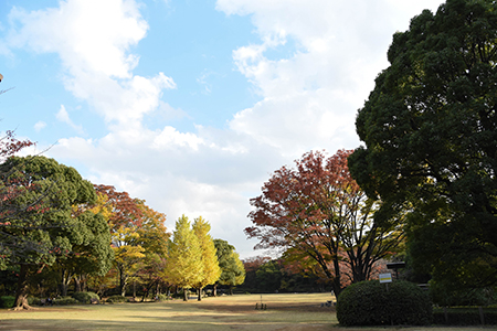 Kitanomaru Garden