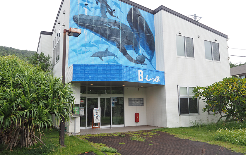 B-Ship（Commerce and Tourism Hall）